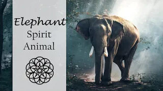 Spirit Animal Meditation | Elephants: Removers of All Obstacles