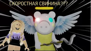 СКОРОСТНАЯ СВИНИНА???? piggy roblox