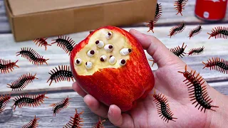 Stop Motion Cooking - Make Insect Soup From Red Apples ASMR Mukbang