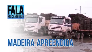Interditada circulação de 15 camiões com madeira acima do peso estabelecido