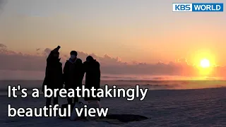 It's a breathtakingly beautiful view (Mr. House Husband EP.250-1) | KBS WORLD TV 220415