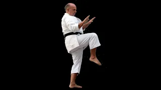 Hanshi Tomasz Piotrkowicz nadanie tytułu Soke Sogo Budo i nominacja na 10dan w Karate