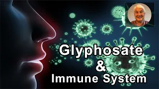 Glyphosate Suppresses The Immune System -  Stephanie Seneff, PhD