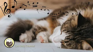 Cat Purring and Harp Music - Anti Anxiety, Stress relief,  Relaxation, Comfortable Sleep