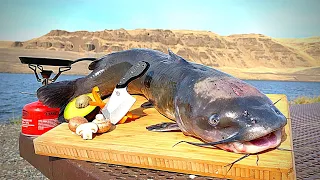 GIANT CATFISH Catch & Cook!!! Bass Fishing in DESERT CANYON!