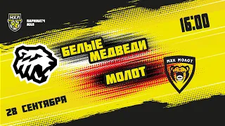 28.09.2021. «Белые Медведи» – МХК «Молот» | (Париматч МХЛ 21/22) – Прямая трансляция