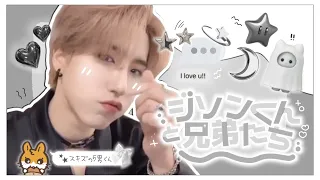 【StrayKids】ハンジソンくんと兄弟たち🐿🤎【スキズ/切り抜き/日本語字幕/モーメント】