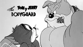 Tom y Jerry | El Guardaespaldas (The Bodyguard) | Español Latino