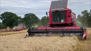 Harvest 2023 day 1. Combining Spring Barley with Massey Ferguson 7270 AL 4.