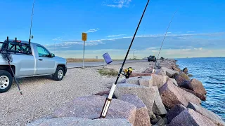 Winter fishing at Texas City Dike pays off (S7 E51)