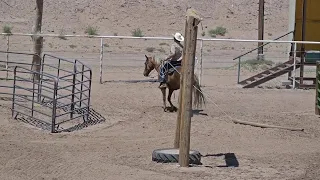 EXCA 2024 05 11 El Paso Sheriff's Posse Posse Only Ranch Versatility #3 Vernon B Kissed By Gold