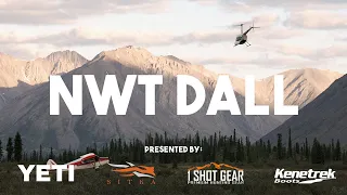 Season 3 Episode 1: NWT DALL SHEEP