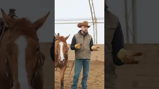 What are the pattern at a reining horse event?