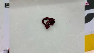 I can't believe THIS was thrown on the ice