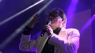 Nino D'Angelo - L'ultrà (Live)