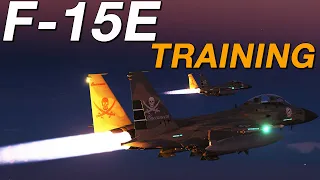DCS F-15E Strike Eagle One on One Training, Checkride and Evaluation!