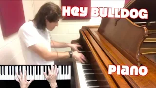 Hey Bulldog | Piano Cover |  Isolated