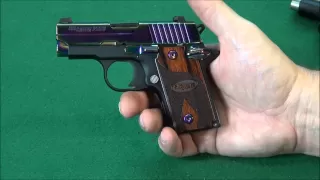 Sig Sauer P238  .380 Masterpiece WeaponsEducation