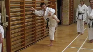 Kagawa-sensei demonstrating mawashigeri exercise