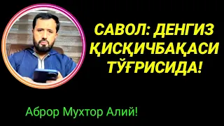 ДЕНГИЗ ҚИСҚИЧБАҚАСИ ХАҚИДА САВОЛ - АБРОР МУХТОР АЛИЙ