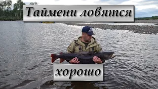 Ловим тайменей/Пришла мутная вода/ Батюшка приехал половить тайменя (3 часть)