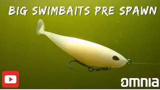 Mastering Pre-Spawn Bass with Big Soft Plastic Swimbaits: Underwater Action Revealed