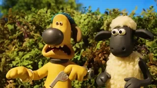 Shaun the Sheep [THE STARE] _Full Episode _Funny Cartoons For Kids | Chocolate Cartoon