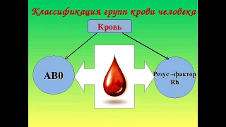 Наследование групп крови и резус фактора. Генетика крови.