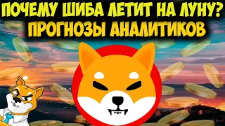 Shiba Inu Стабилизирует Цену - Почему Держатели Продают SHIB?