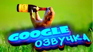 СМЕШНАЯ GOOGLE ОЗВУЧКА. Я ПЛАКАЛ ОТ СМЕХА. ВИДЕО ПРИКОЛ, КОТЫ ПОСЫЛАЮТ ДРУГ ДРУГА, РОБОТЫ 2019