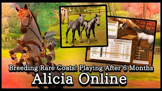 [Alicia Online] Unboxing Gifts! Breeding Rare Coats! Racing! Playing After Half A Year!