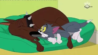 Tom si Jerry ~   Motanel pierdut   ~ Desene animate traduse dublate in romana