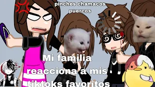 ×Mi familia reacciona a mis tiktoks favoritos×