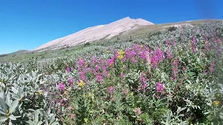 Teaser! The Wilmore Wilderness Hike