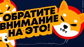 КАК ЗА ОДНУ НОЧЬ СТАТЬ МИЛЛИОНЕРОМ С ШИБА ИНУ | новости криптовалюта SHIBAINU