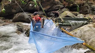 The boy Phu used bamboo and mosquito nets to trap fish, catching large carp and many other fish.