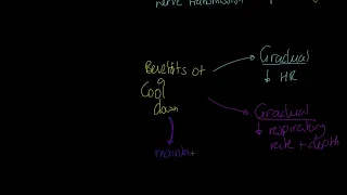 AQA A-level PE: Effect of Warm Up and Cool Down