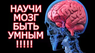 10 бесплатных способов стать умнее почти как Эйнштейн–Как прокачать мозг на 100% и развить интеллект