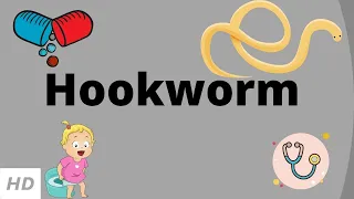 Hookworm, Causes, Signs and Symptoms, Diagnosis and Treatment.