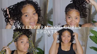 2 Week Perm Rod Update & Styling My Locs