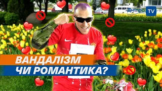 🌷 300 тюльпанів для Наталки. Дніпро: вандал обірвав клумби!