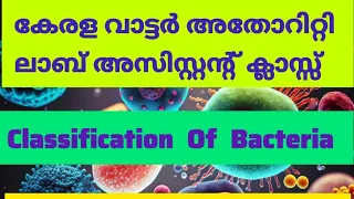 classification of bacteria / kwa/ Lab assistant