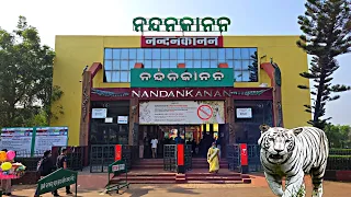 NandanKanan | Zoological Park | Kanjia Lake | #odiavlog