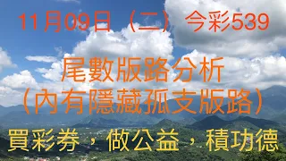 今彩539｜牛哥539｜2021年11月09日（二）今彩539尾數版路分析內含隱藏版路｜#539 （🎉恭喜上期尾數版路：3尾、8尾順利開出🎉）