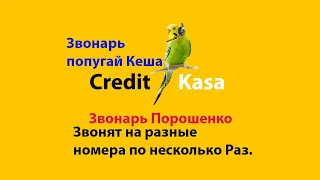 Звонки Кредит каса. Звонярь Порошенко. Звонарь Попугай Кеша. 8 звонков за два часа. Не знают законов