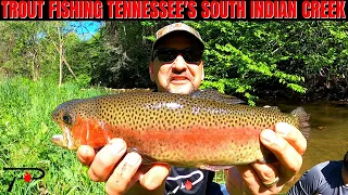 Trout Fishing Tennessee's South Indian Creek