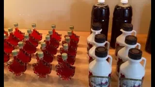 filtering and Bottling maple syrup