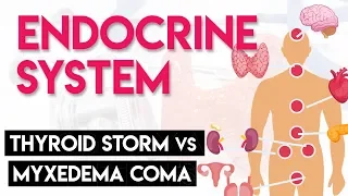 Thyroid Storm vs. Myxedema Coma | Endocrine System (Part 6)