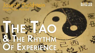 Joseph Goldstein on The Tao and the Rhythm of Experience - Insight Hour Ep. 163
