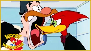 Woody Woodpecker Show | Like Father, Unlike Son | 1 Hour Compilation | Cartoons For Children